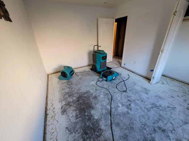 Best 24/7 water damage repair  in Gretna, FL
