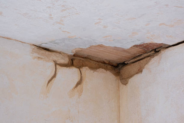 Water damage restoration mold remediation in FL