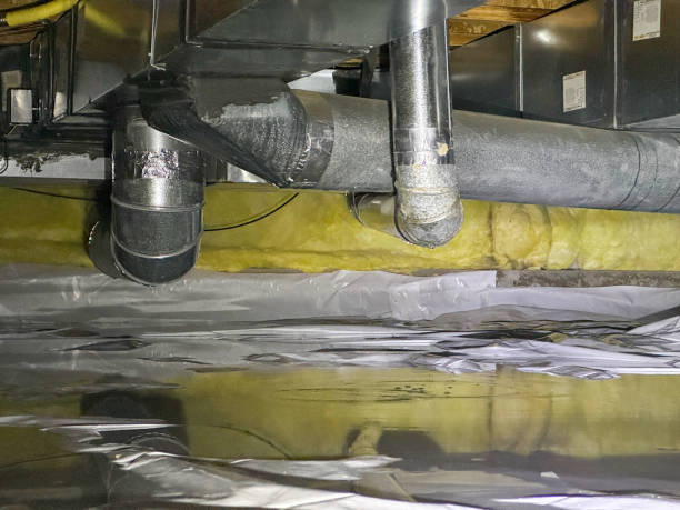 Best Flood restoration services  in Gretna, FL