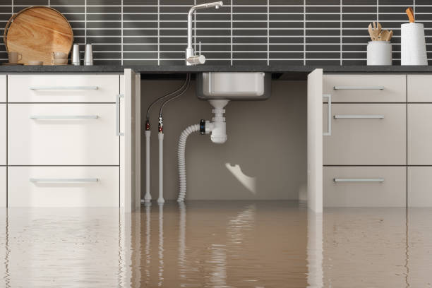 Best Ceiling water damage repair  in Gretna, FL